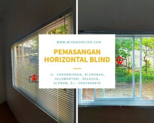 Horizontal/Venetian Blind